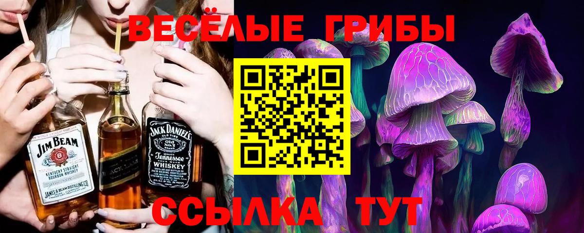 Псилоцибиновые грибы прущие грибы  Вход с VPN  Луховицы 